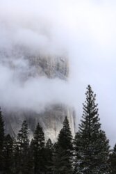 Yosemite37