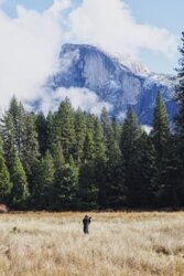 Yosemite11